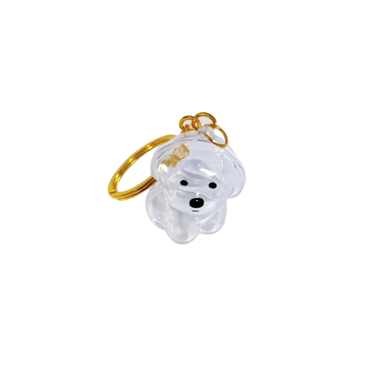 Pet Keepsake Keychain