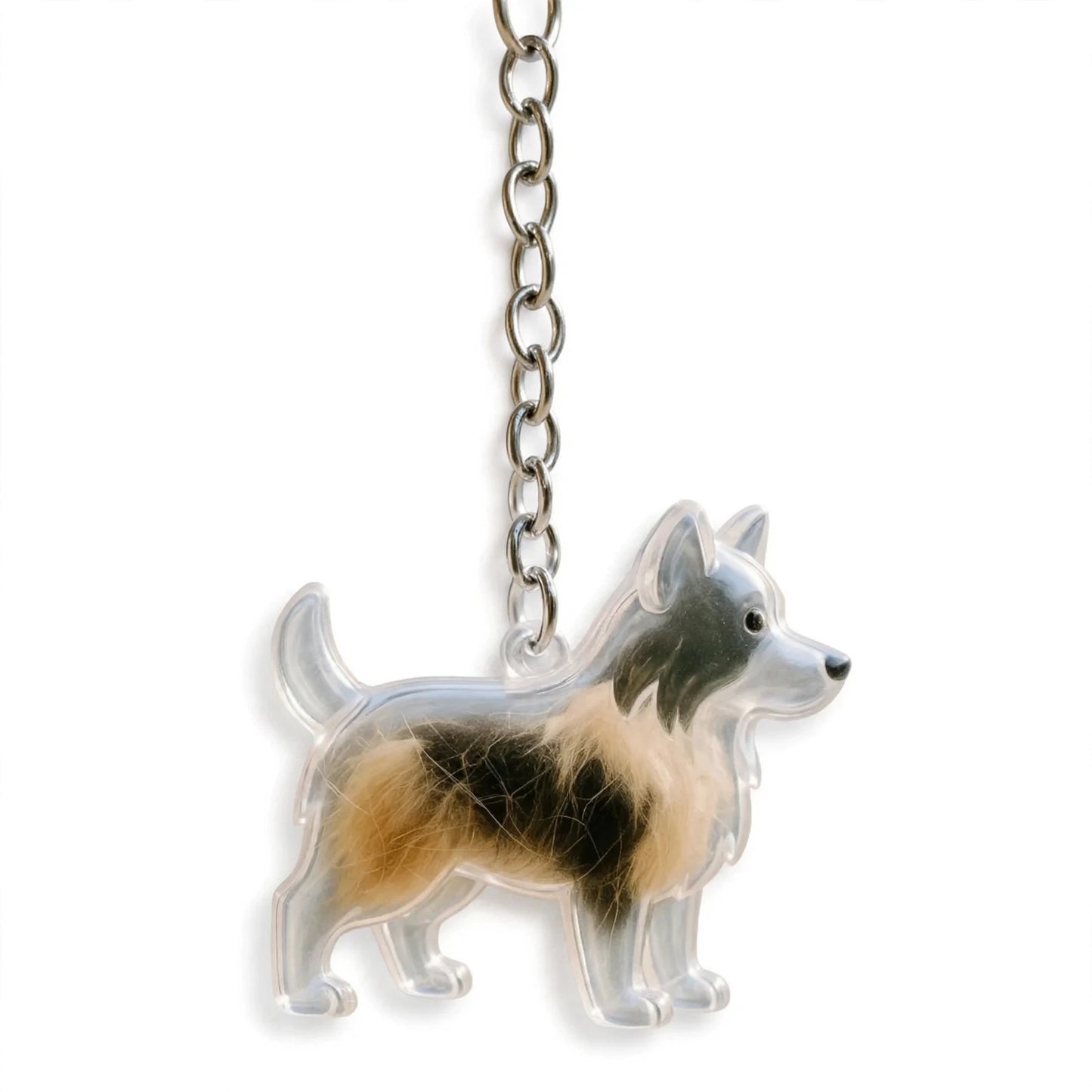Pet Keepsake Keychain
