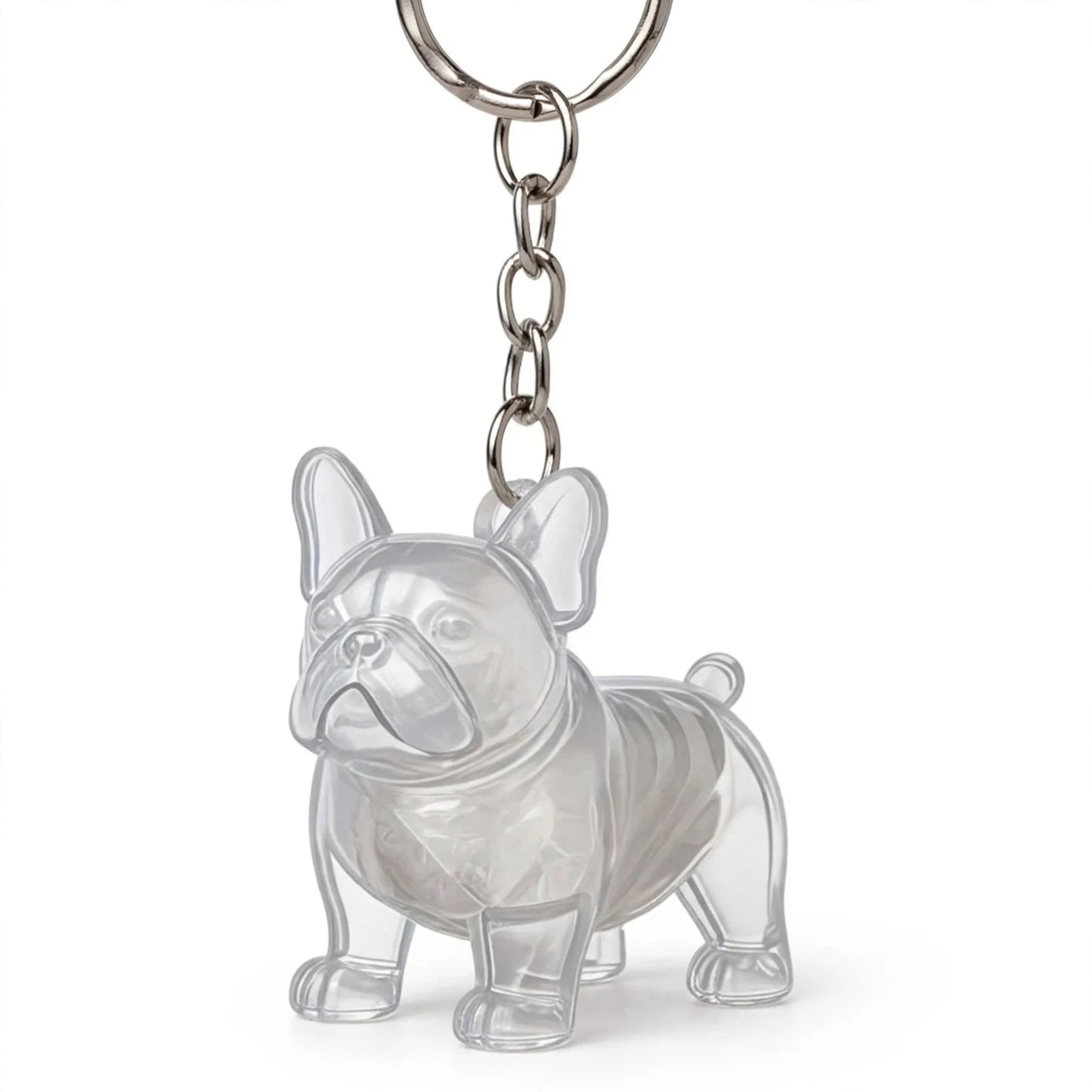 Pet Keepsake Keychain