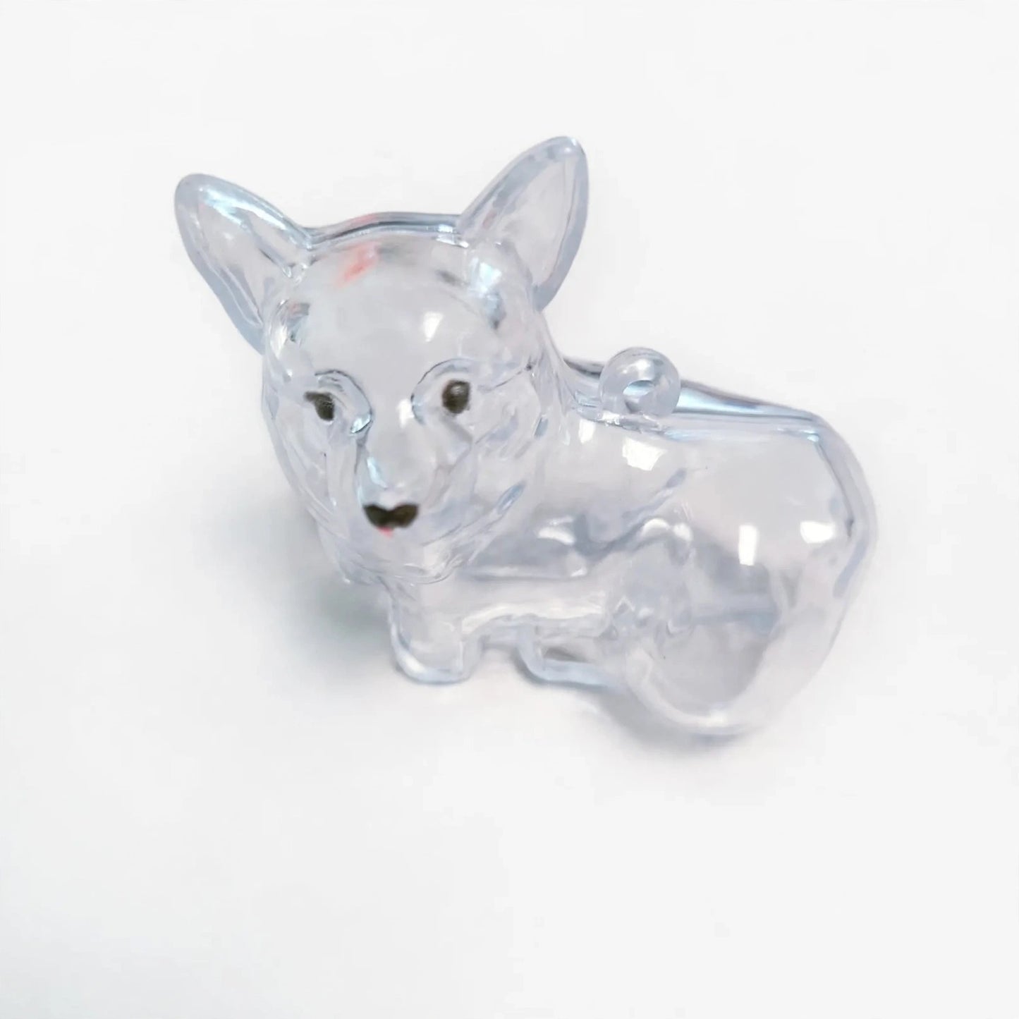 Pet Keepsake Keychain