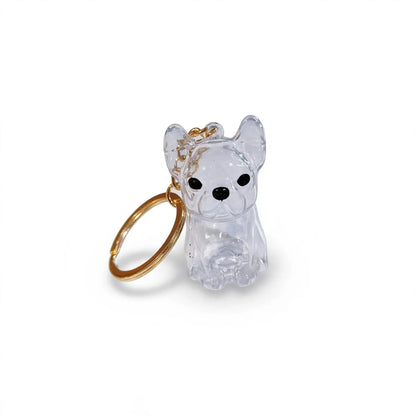 Pet Keepsake Keychain