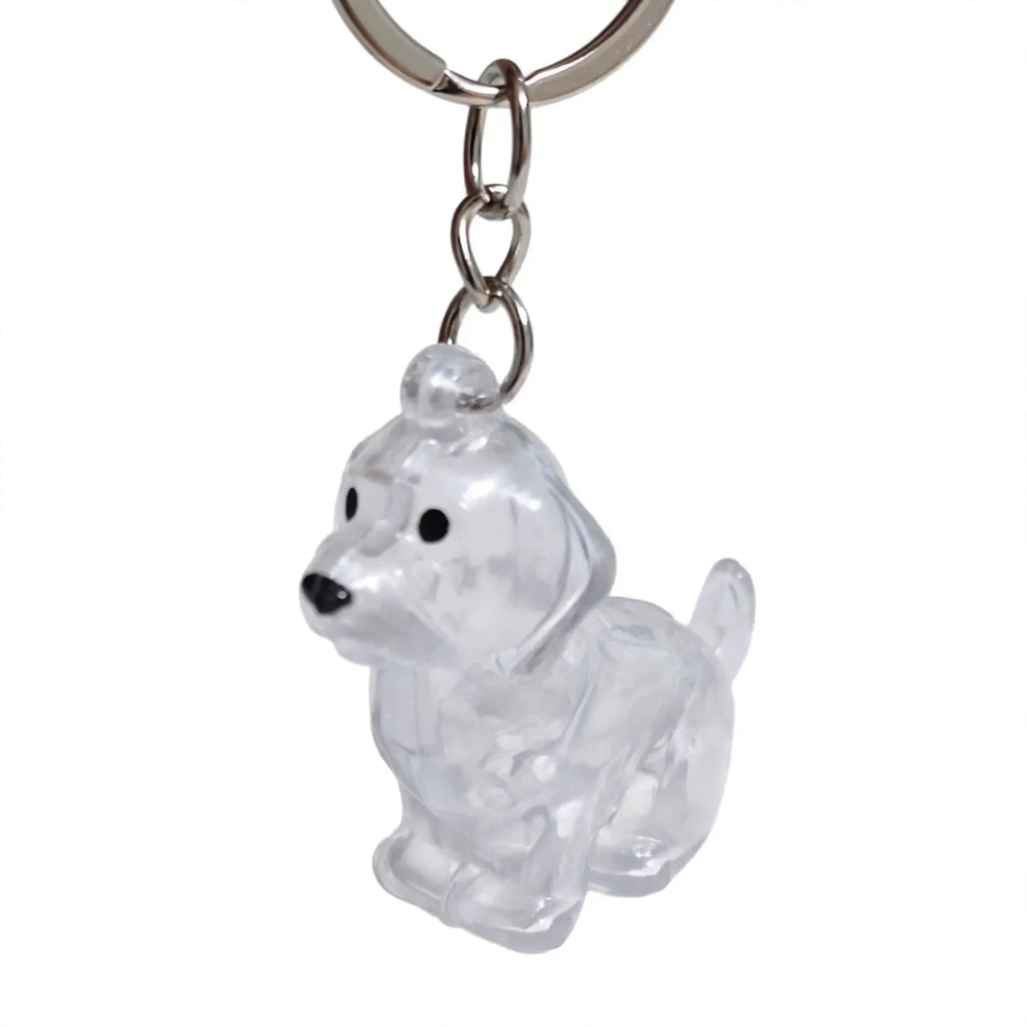 Pet Keepsake Keychain